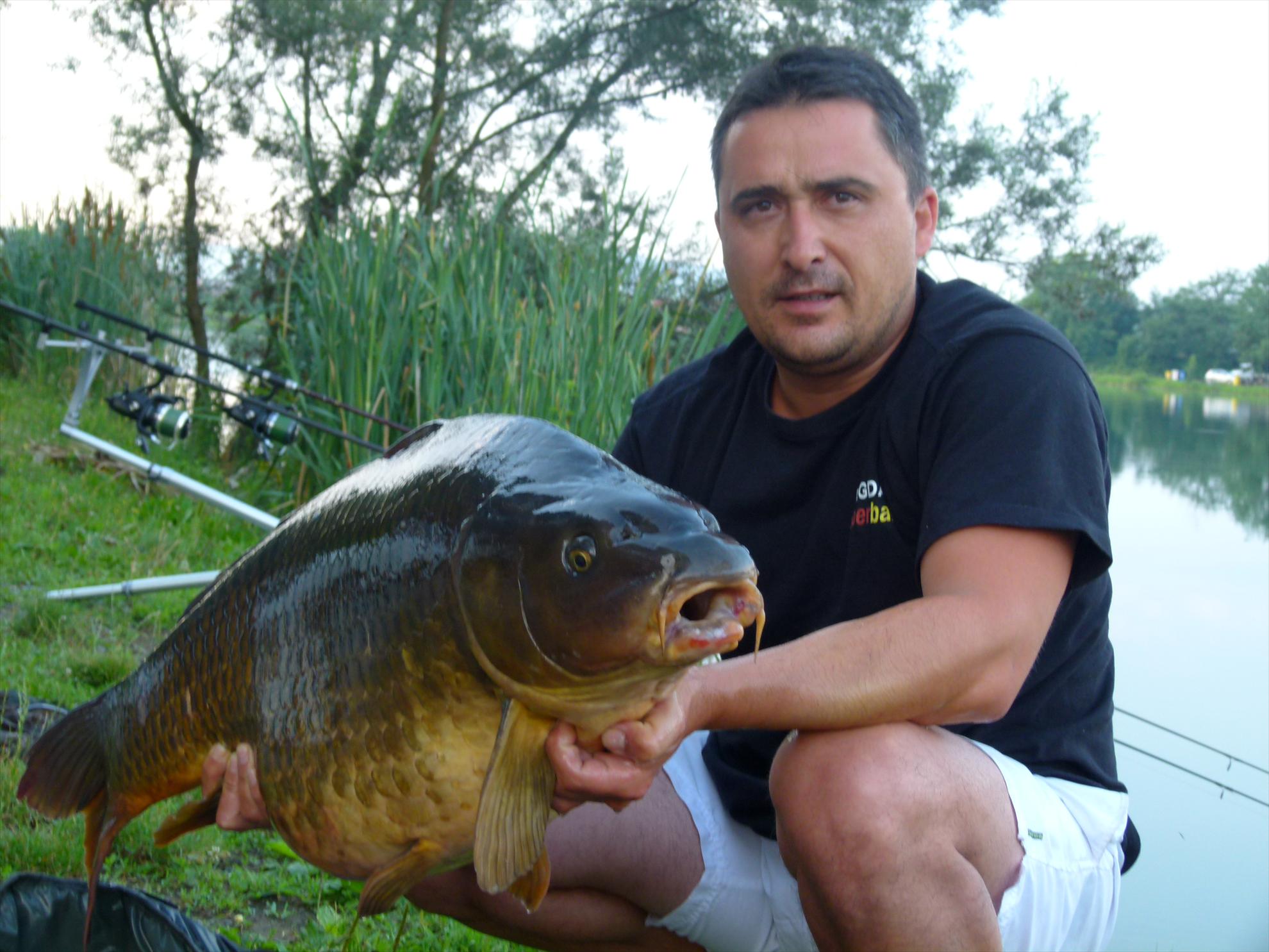 THE BIGS OF 2012 - p1000058.JPG